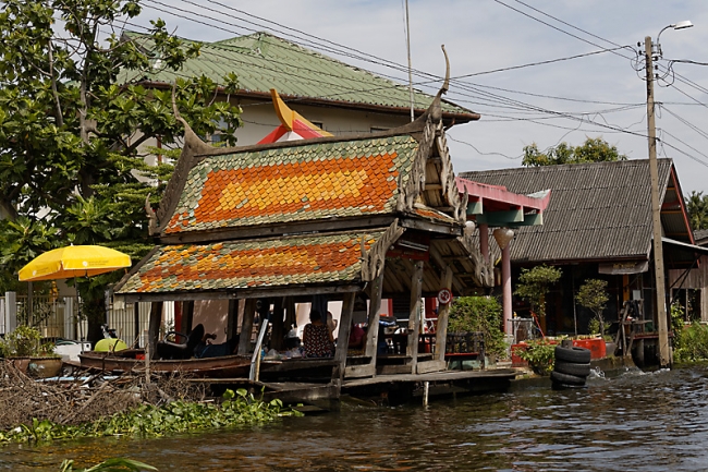 Talin chan-NOV13-157